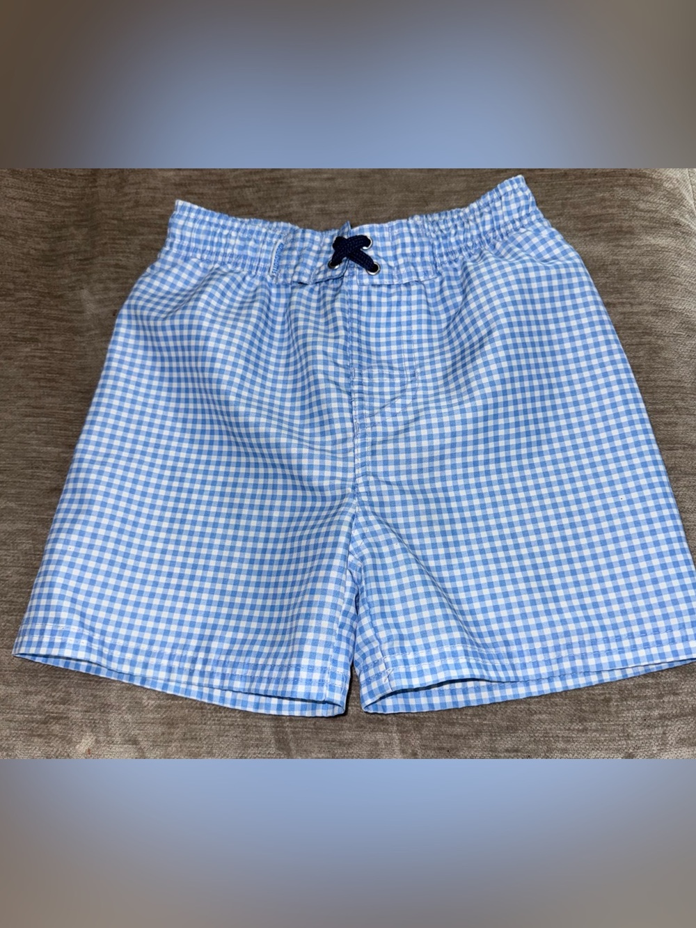 Kids Rugged Butts Blue Gingham Swim Trunks sz 4T